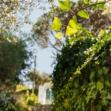La Vignoletta, 公寓 *