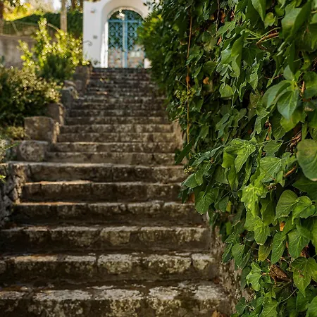 La Vignoletta, 公寓